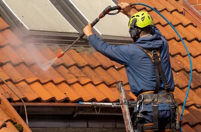 Démoussage et hydrofuge de toiture à Vaux-en-Pré